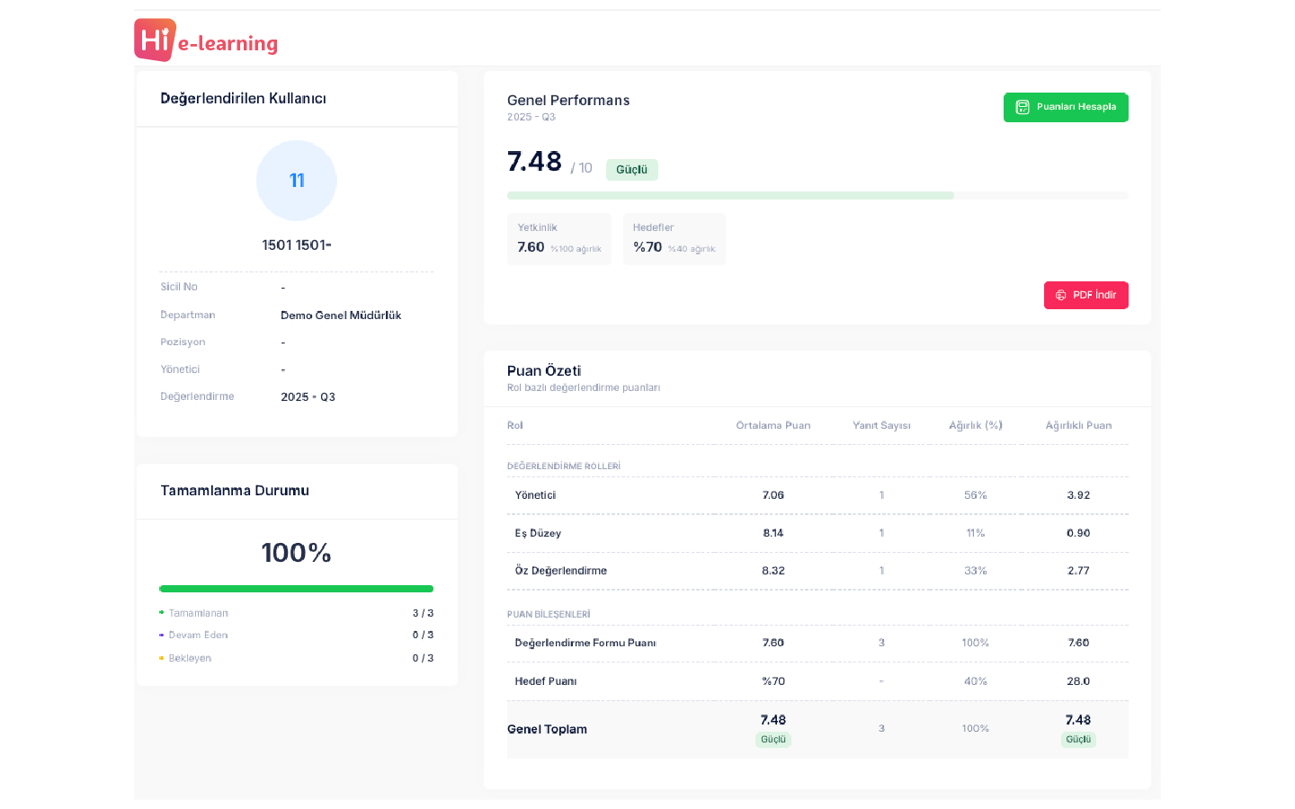 Individual performance report showing weighted scores and evaluation summary