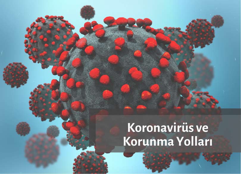 Coronavirus Coronavirus illustration