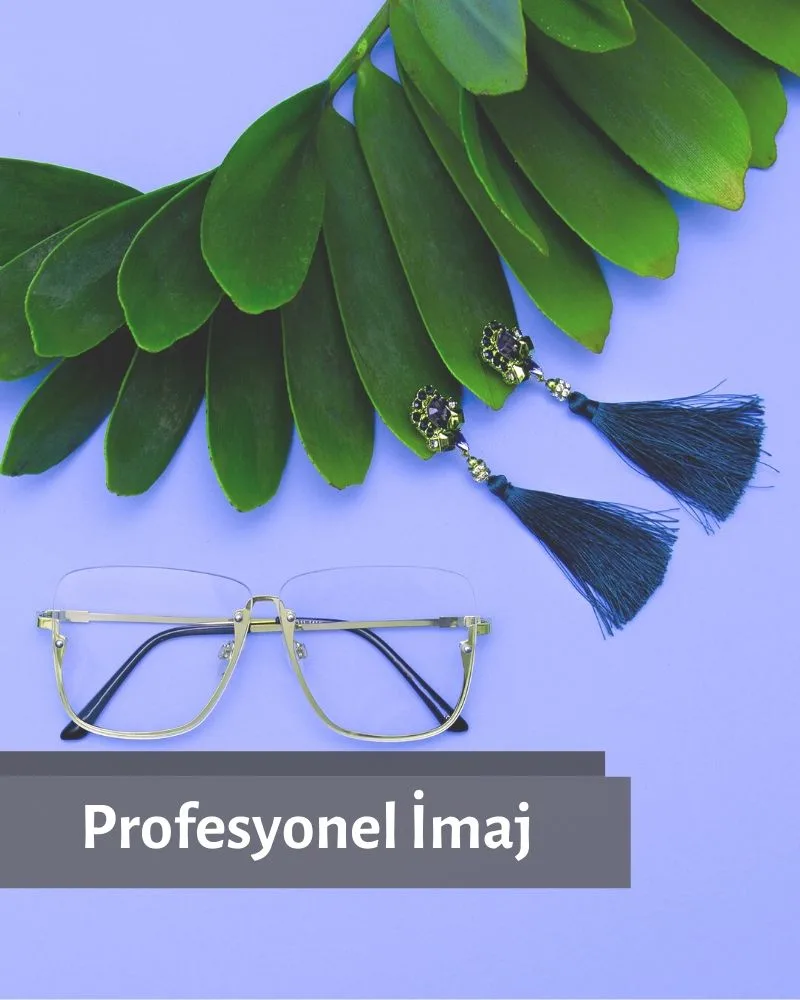 Profesyonel İmaj Eğitimi