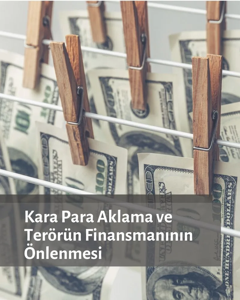 Anti-money Laundering and Combating the Financing of Terrorism for companies e-learning